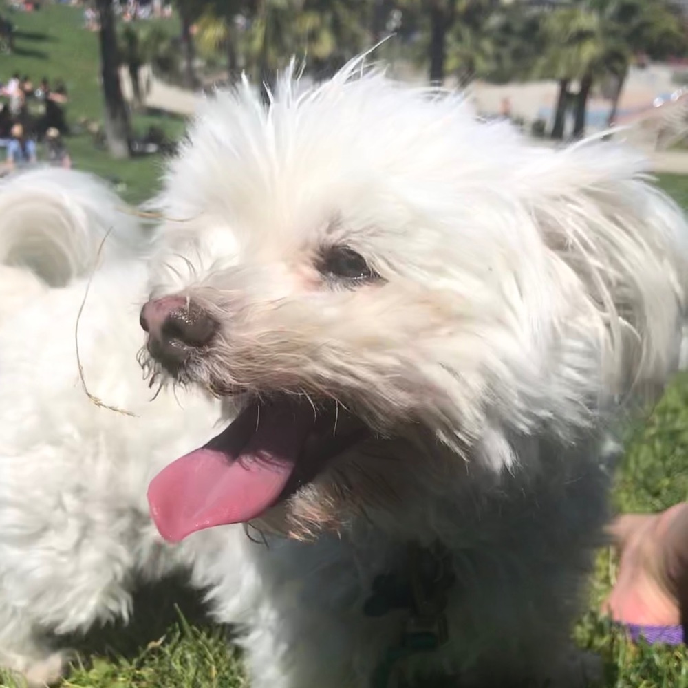 Meet your Posher, Mar💕